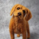 Wild Woolly Dog – Custom made to look like your dog