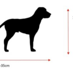 Wild Woolly Dog – Custom made to look like your dog - Image 2