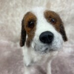Dog Eyes and Noses - Image 6