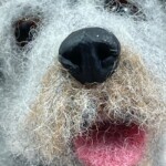 Dog Eyes and Noses - Image 5