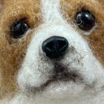 Dog Eyes and Noses - Image 3