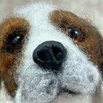 Dog Eyes and Noses - Image 4