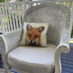 Fox  Wool Picture Workshop Brisbane - Image 4