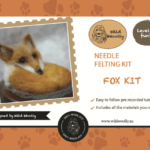 Best Seller!  My Smarter Starter Tool Kit + Fox Kit - Image 5