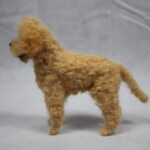 Curly Dog  Workshop Brisbane - Image 3