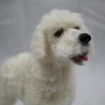 Curly Dog  Workshop Brisbane - Image 4