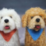 Curly Dog  Workshop Brisbane - Image 9