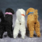 Curly Dog  Workshop Brisbane - Image 10
