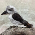 Funky Felter's Escape  Brisbane - Image 7