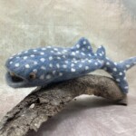 My Super Cool Needle Felting Tool Kit + Whale Shark Kit - Image 2