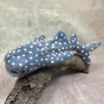 Funky Felter's Escape  Brisbane - Image 5
