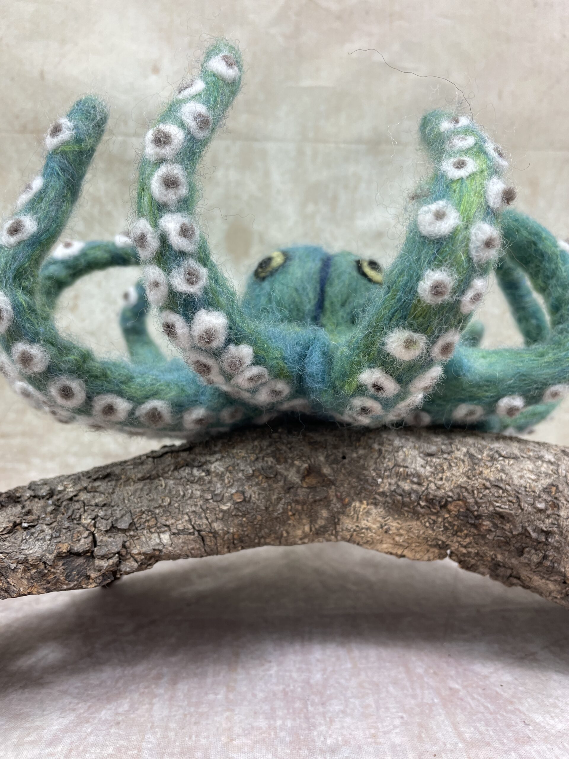 Octopus Needle Felting Kit