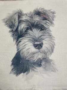 Schnauzer