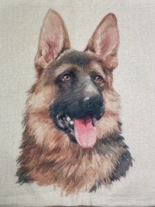 German shepherd