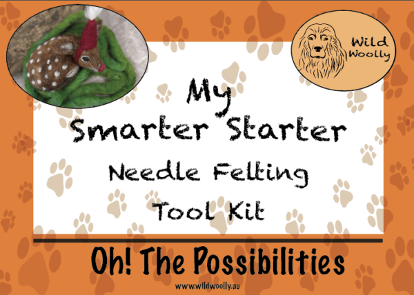 My Smarter Starter Tool Kit + Little Rudolf