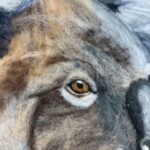 Old Man Koala Wool Painting Wool Pack + Pre recorded video - Image 2