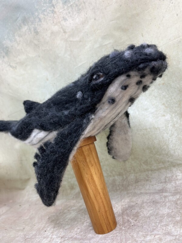 Humpback Whale Kit + Pre recorded tutorial - Image 3