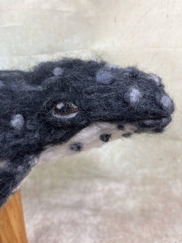 Humpback Whale Kit + Pre recorded tutorial - Image 2
