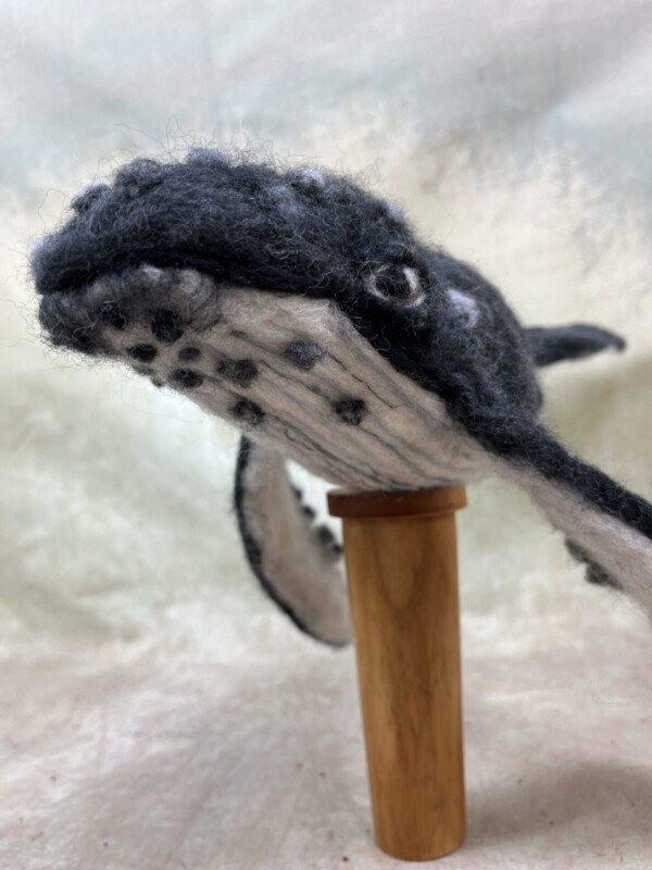Humpback Whale Kit + Pre recorded tutorial - Image 4