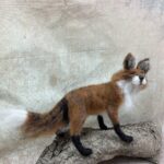 Standing Fox Tutorial - Image 2