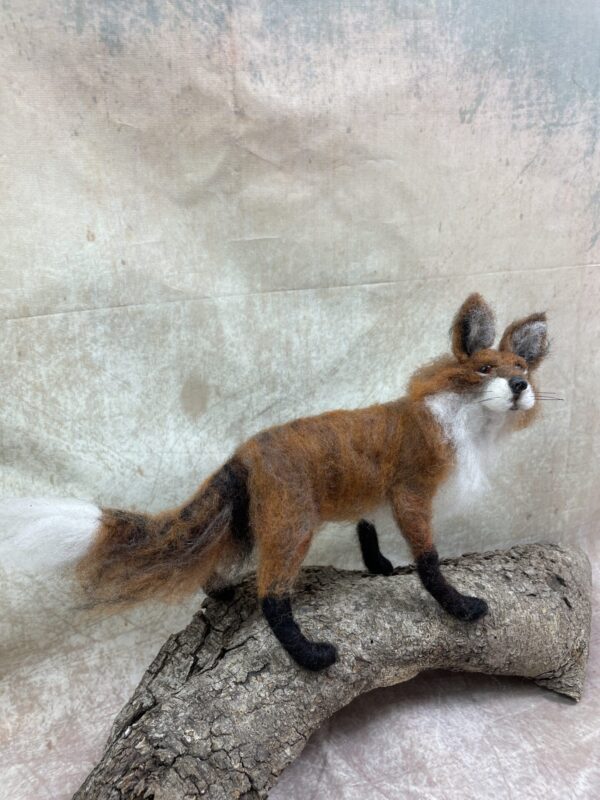 Standing Fox Tutorial - Image 2