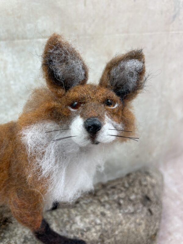 Standing Fox Tutorial - Image 3